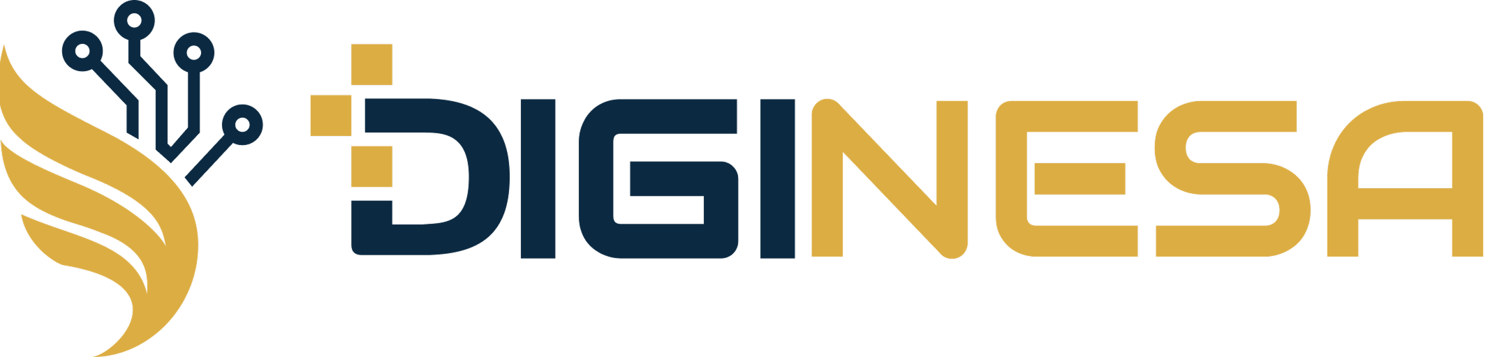 DIGINESA Logo